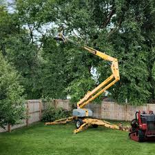 Best Emergency Tree Removal  in Mill Neck, NY